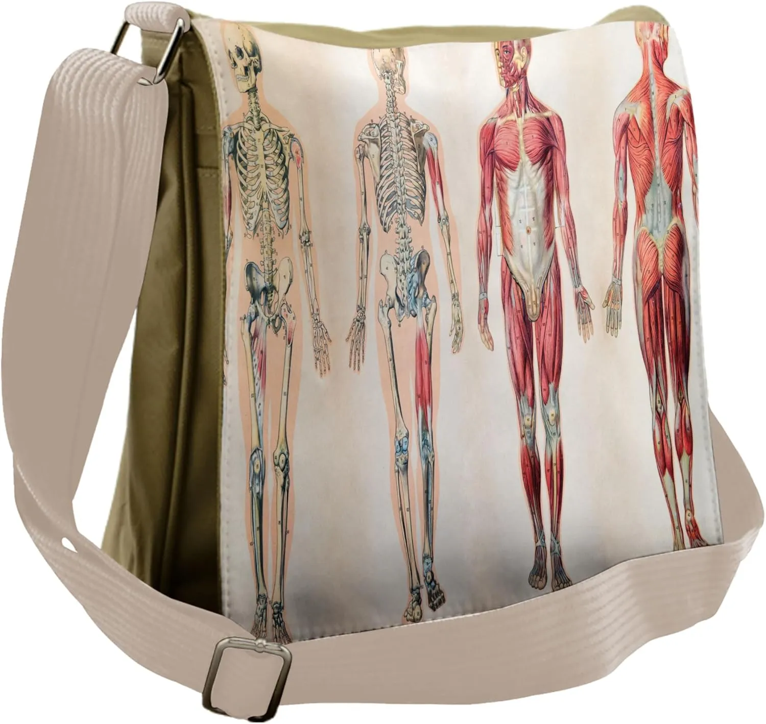 Ambesonne Vintage Messenger Bag, Anatomy Human Body, Unisex Cross-body