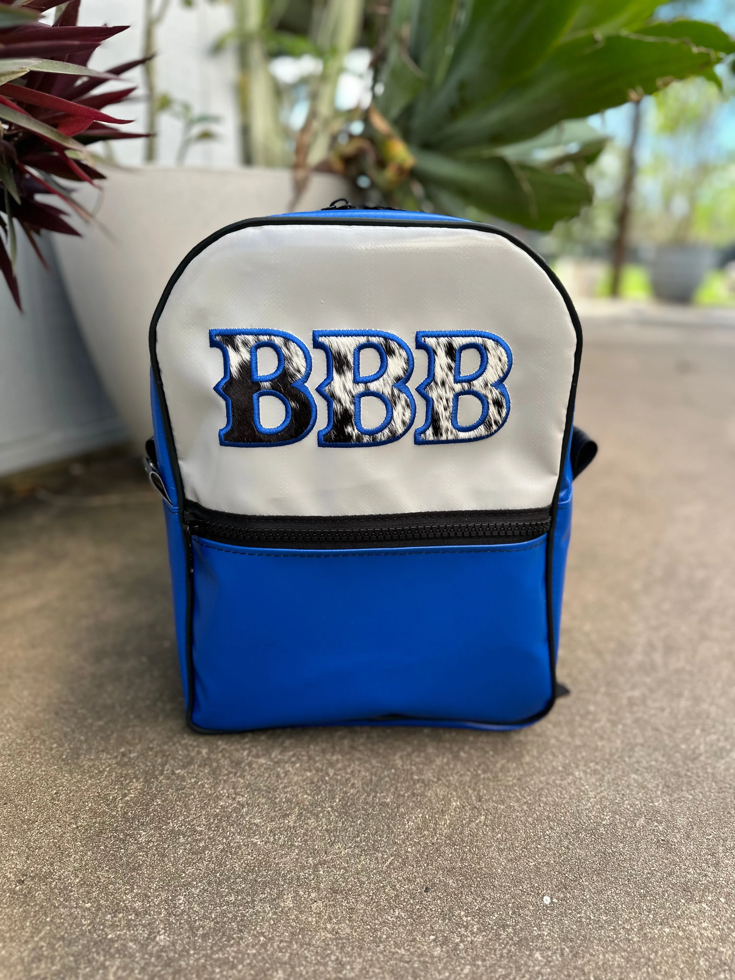 Backpack