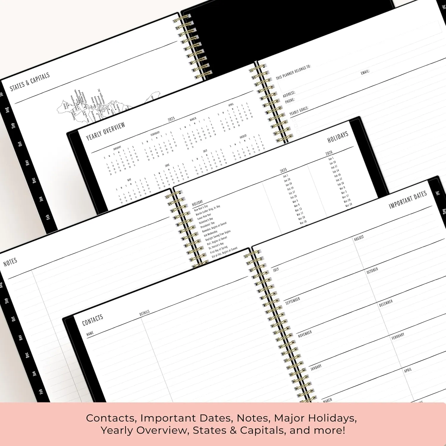 Blue Sky Idlewild 2025-2026 Academic Year Weekly and Monthly Planner Calendar, July 2025 - June 2026, 12-Month, 8.5"x11", Flexible Cover, Wirebound, Laminated Tabs, Storage Pocket, Black Swirl