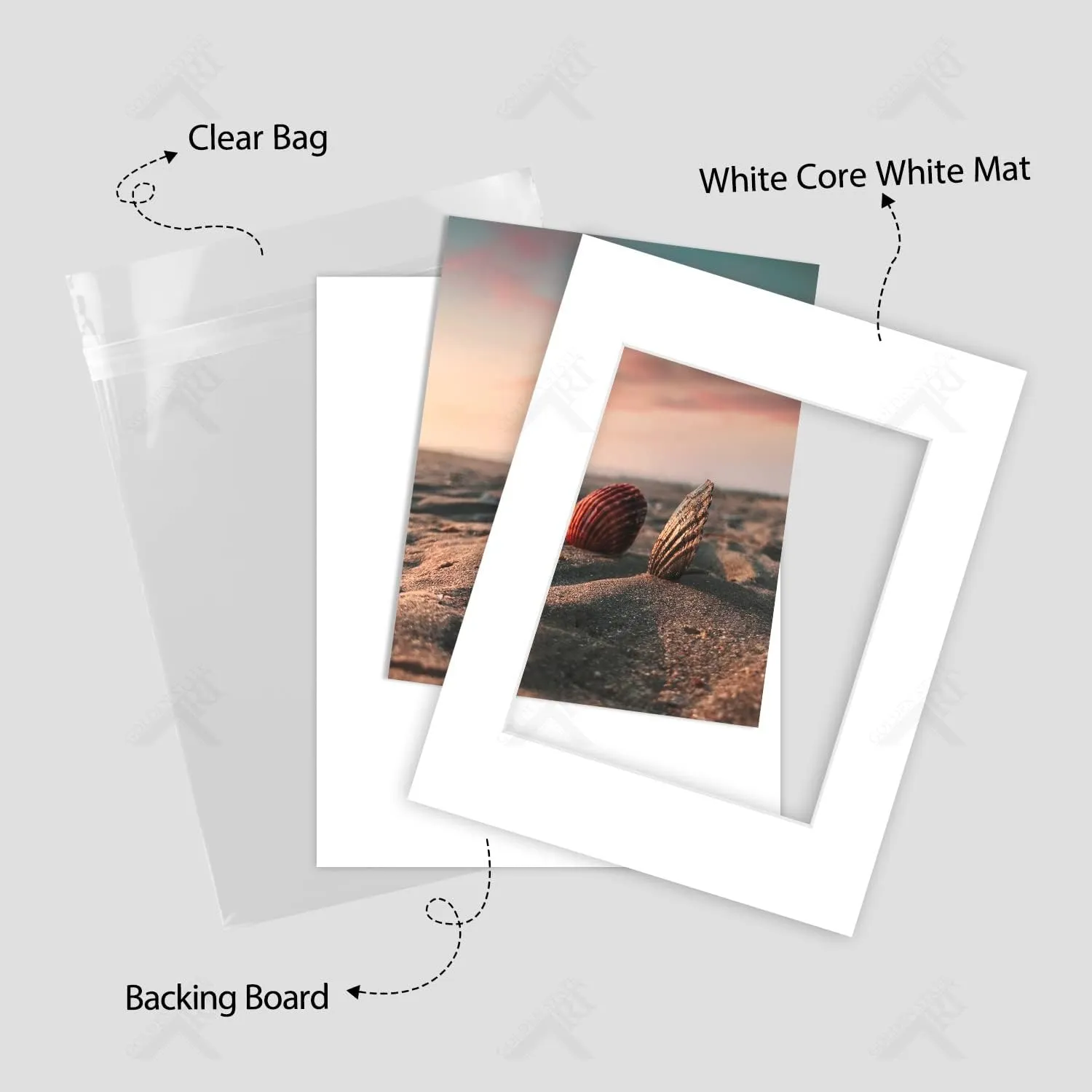 Golden State Art, Acid Free, Pack of 25, 11x14 White Picture Mats Mattes with White Core Bevel Cut for 8x10 Photo   Backing   Bags