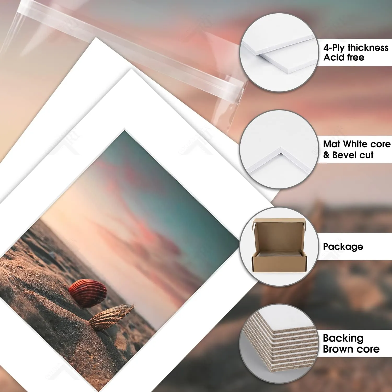 Golden State Art, Acid Free, Pack of 25, 11x14 White Picture Mats Mattes with White Core Bevel Cut for 8x10 Photo   Backing   Bags