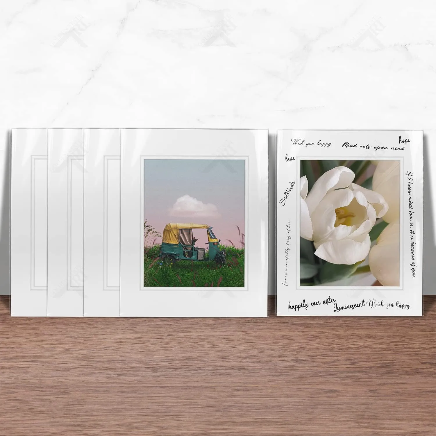 Golden State Art, Pack of 10 11x14 Double Picture Mats with White Core Bevel Cut for 8x10 Pictures   Backing   Bags, Off-White Over Off-White