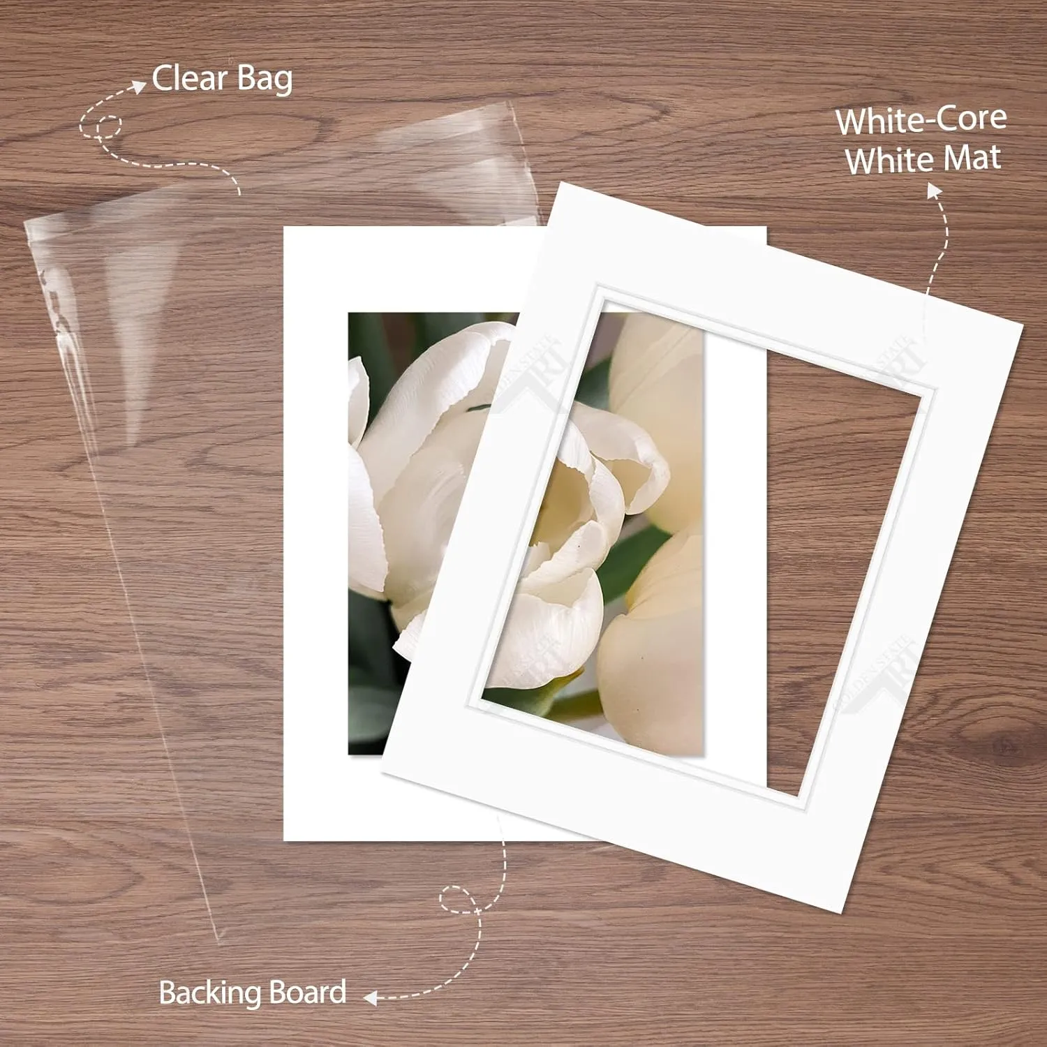 Golden State Art, Pack of 10 11x14 Double Picture Mats with White Core Bevel Cut for 8x10 Pictures   Backing   Bags, Off-White Over Off-White