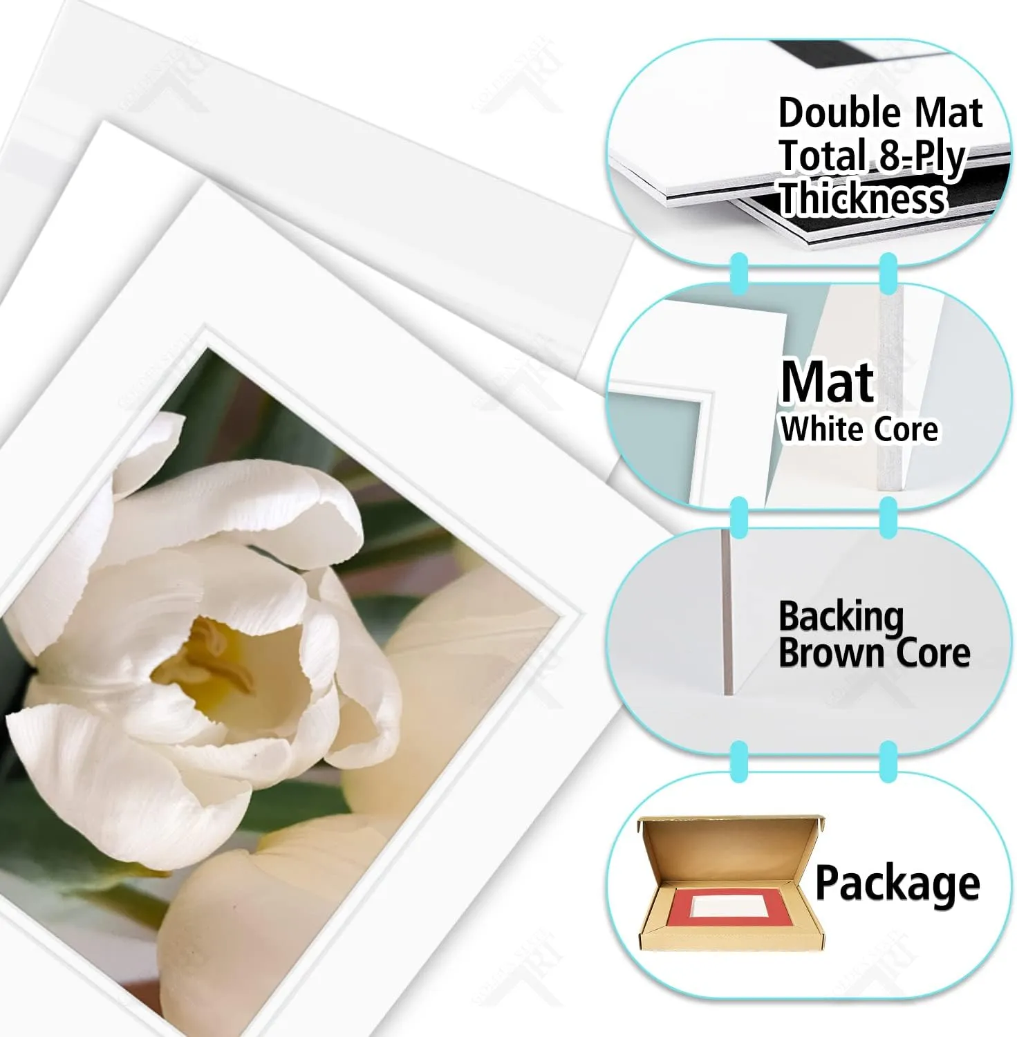 Golden State Art, Pack of 10 11x14 Double Picture Mats with White Core Bevel Cut for 8x10 Pictures   Backing   Bags, Off-White Over Off-White