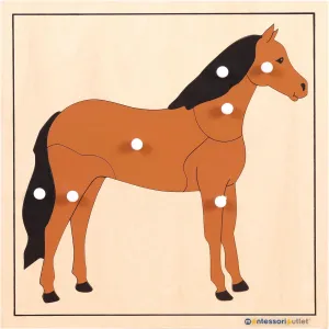 Montessori Outlet Horse Puzzle for Children 3-6 Years Montessori Education at School and Home