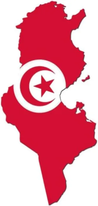 Novelty Republic of Tunisia Map National Flag Handheld Mirror - Personalized Beauty Hairdressing Mirror for Women, Makeup Handheld Mirror with Handle Black 12×22Cm