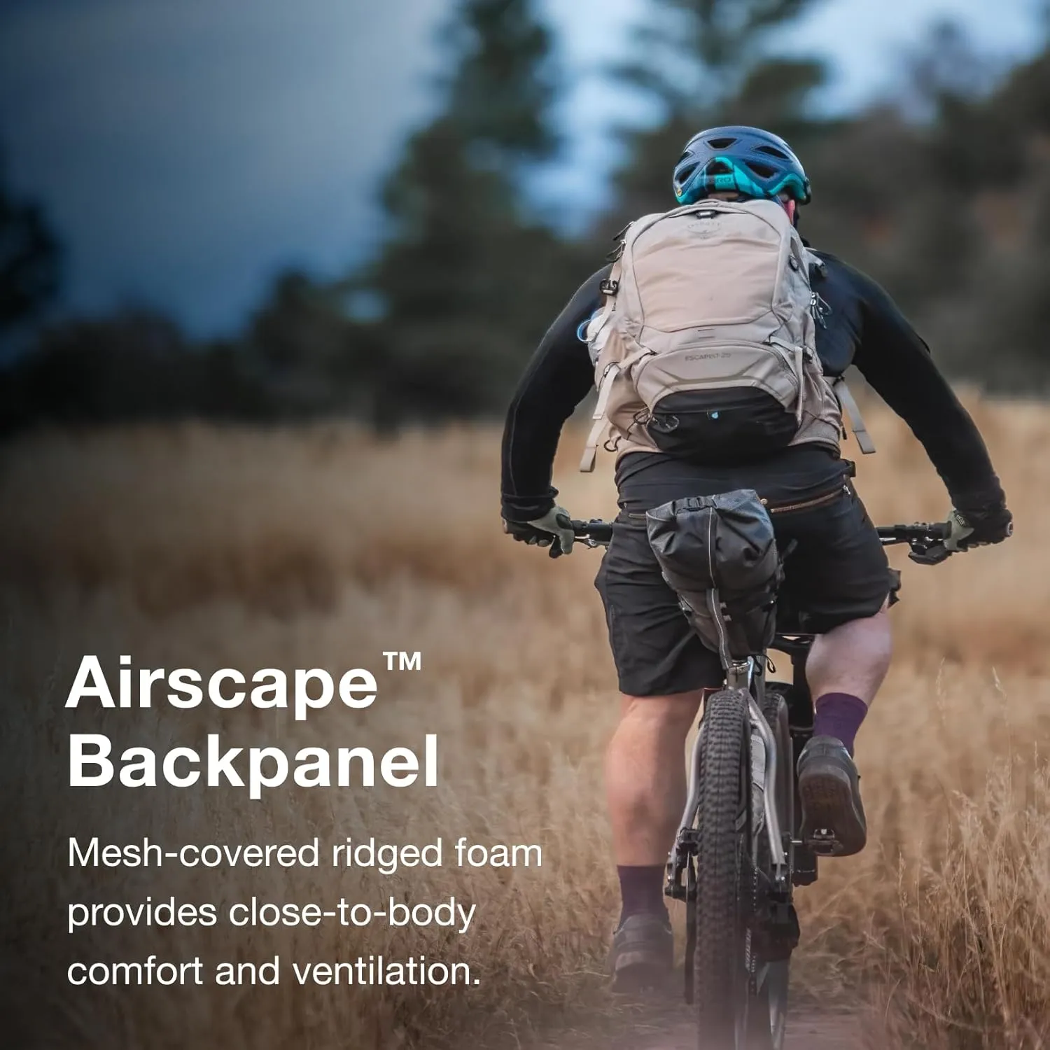 Osprey Escapist 30 Backpack, Plain, M-L