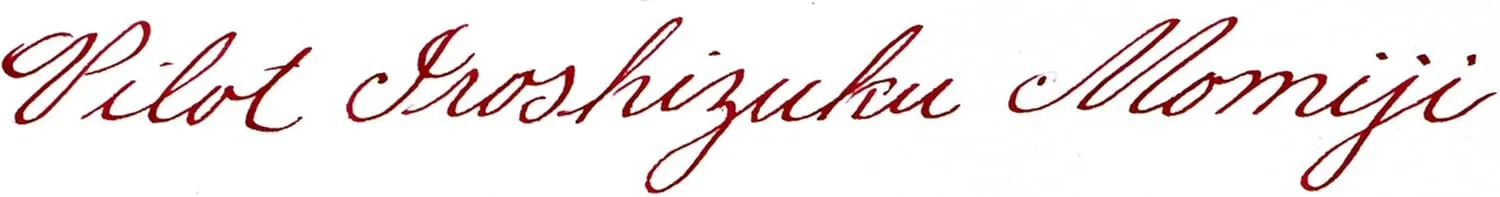 PILOT Iroshizuku Bottled Fountain Pen Ink, Momiji, Autumn Leaves (Red) 50ml Bottle (69208)