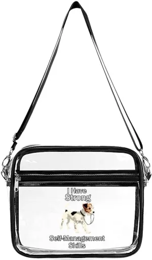 Self-management Skills Large Clear Stadium Bag Clear Mini Messenger Bags with 2 Compartments Crossbody Bag