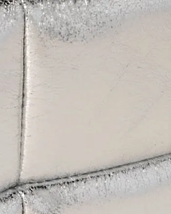 Skyler Zip Pouch | Silver