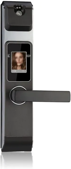 Smart Facial Recognition Door Lock, Electronic Keyless Door Lock,Digital Security Touch Screen Face Smart Door Lock for Home (Color : Left-Pull) (Right Pull)